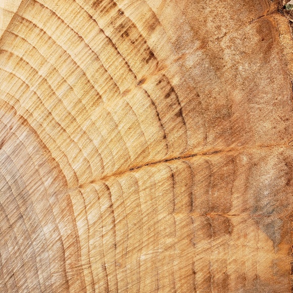 Meet your Posher, Ian - Picture 1 of 1